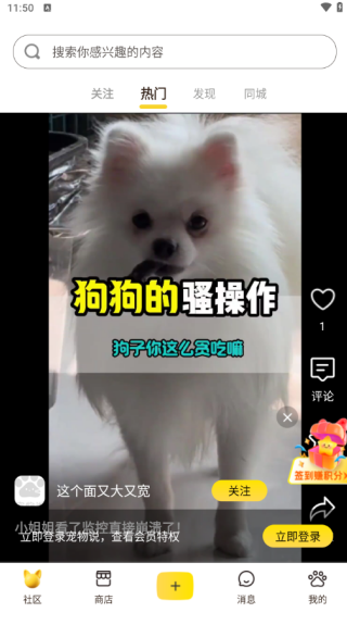 ˵app