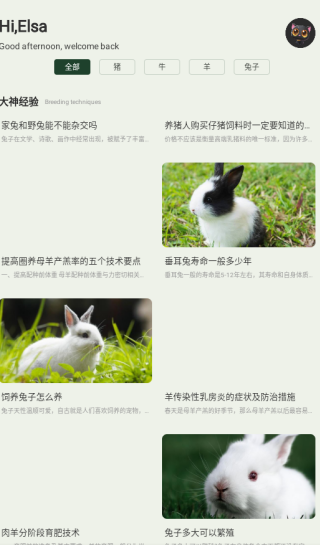 ũapp