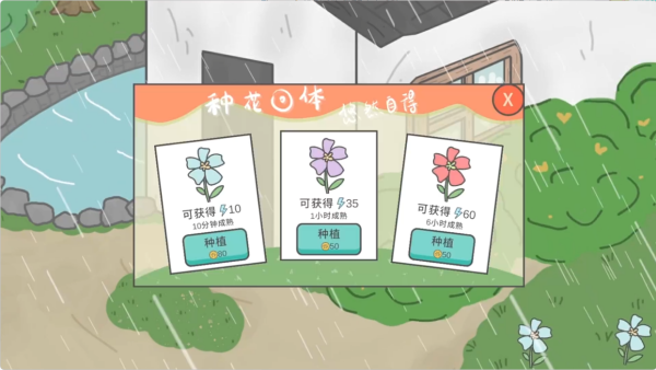 主播和猫的故事游戏 主播和猫的故事游戏