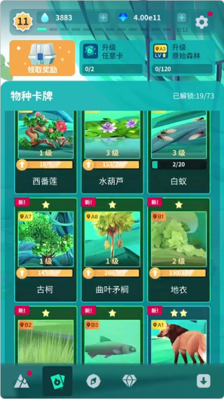 澳