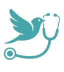 appv1.1.0 ׿