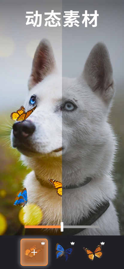 Motionleap׿v1.7.1 Ѱ