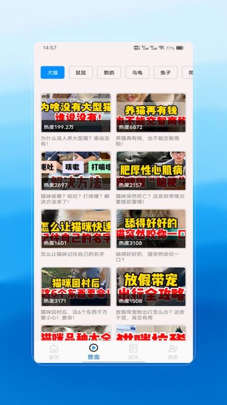 ִҵҽappv1.0 ׿