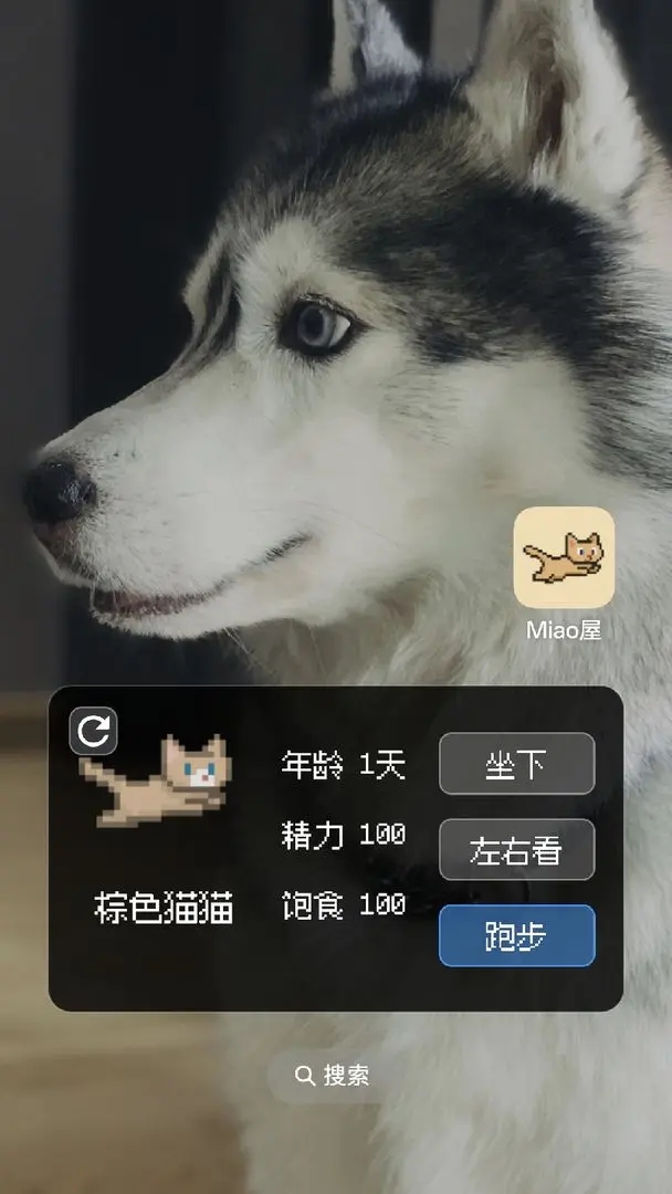 MiaoϷv1.2.1 ׿