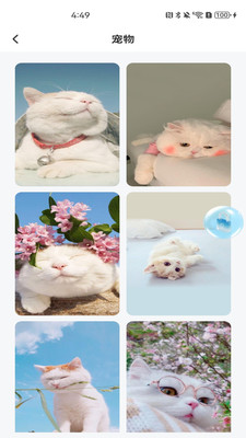 ֻappv1.0.0 ׿