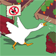 İv1.1.1 °汾