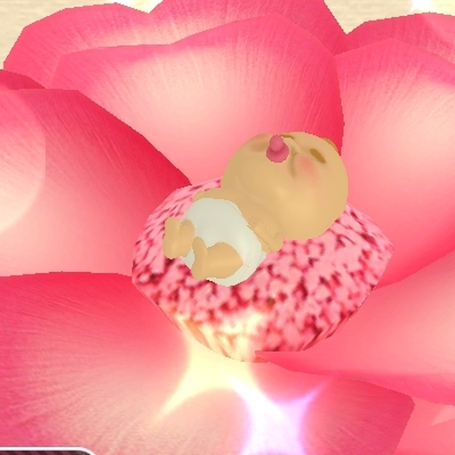 С֮ذװv4.6 ׿