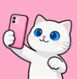 ֻʦappv1.0 ׿