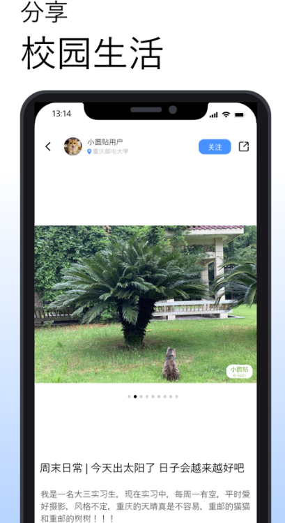 СԲ׿v1.37 °