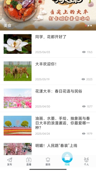 智慧大丰 智慧大丰