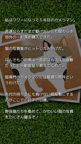 �ɰ�è��������Ϸ����