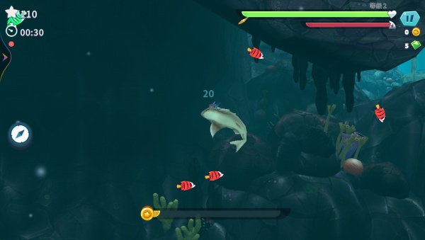 ������ʳ���ֻ�������