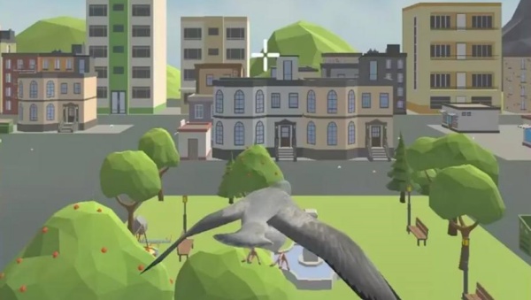 全民养小鸟 全民养小鸟