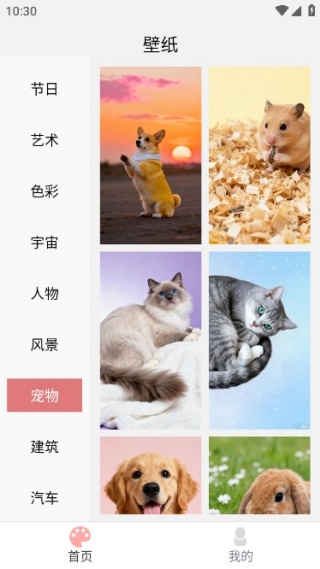 绚泽壁纸手机版下载 绚泽壁纸手机版下载