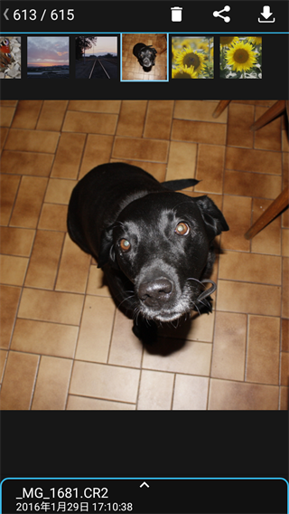 相机控制大师app下载 相机控制大师app下载