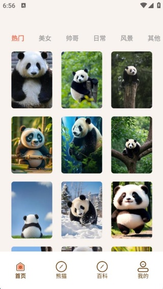 小熊猫CZR手机版下载 小熊猫CZR手机版下载