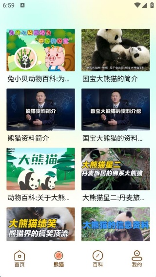 小熊猫CZR手机版下载 小熊猫CZR手机版下载