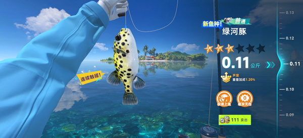 �����������2026������