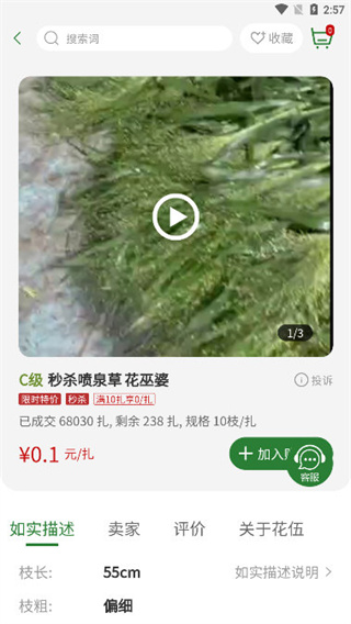 �����ʻ���׿������