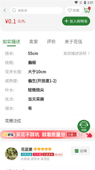 �����ʻ���׿������