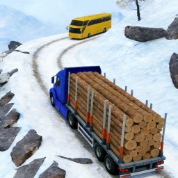 ��ʵ����ģ������Ϸ����v1.0 ��׿��