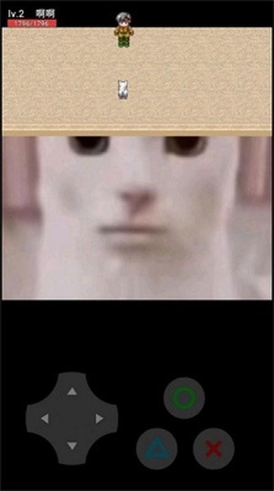 猫猫惊魂安卓正版 猫猫惊魂安卓正版