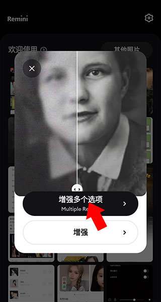 reminipro专业版解锁免费下载 reminipro专业版解锁免费下载