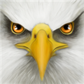 �ռ���ģ������׿��v1.3