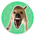 �󹷽�ģ�����ֻ����������ع�����v1.1