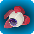 ��֦litchi���İ氲׿�����޸İ�-gv4.26.6-g