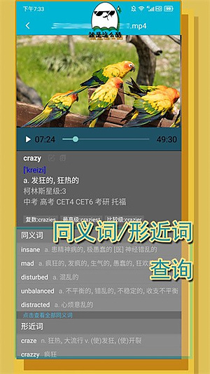 ���ʲ�����v3.7.2