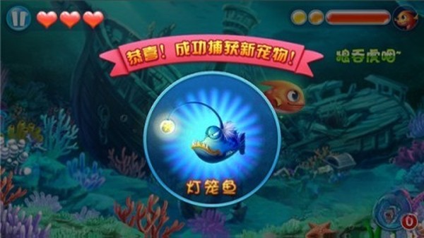 �����С��3������Ѱ�����v1.00.01
