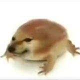 �ҵĵ������°�v1.0