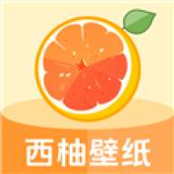 ���ֱ�ֽ���°�׿��v1.0.4