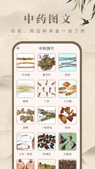 ��ҩѧ��׿��v1.0.5