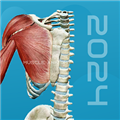 3D������ʰ�׿��v1.0