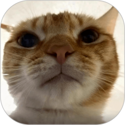 ������app�ٷ�������v1.0.5