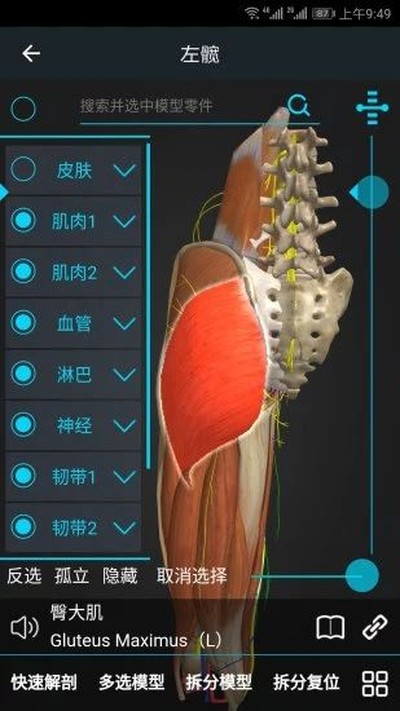 ҽά�Ȱ�׿v3.3.16
