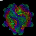 volumeshaderbm�����ֻ�������v1.0