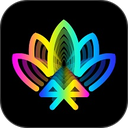‌������Pro‌�ٷ���������v5.19.13