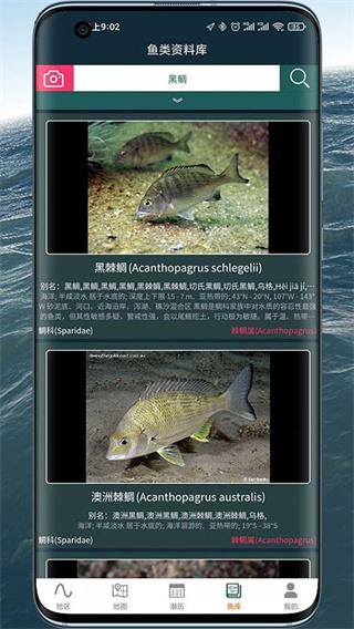 ��ϫ�������ֻ�������