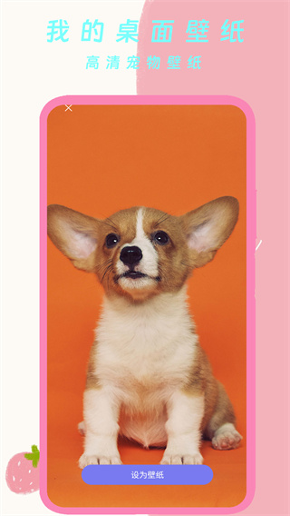 �ҵ������ֽapp����