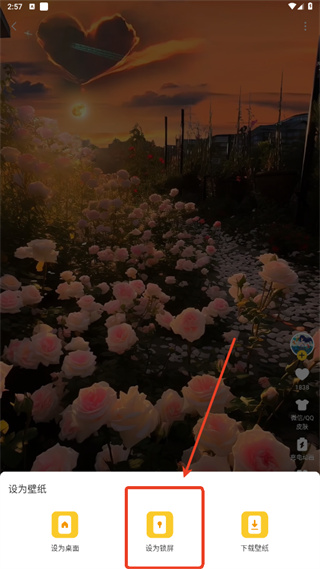 Ԫ�������ֽ��׿������