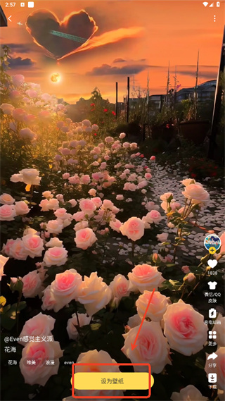 Ԫ�������ֽ��׿������