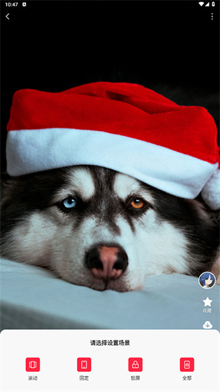 汽水壁纸安卓版下载 汽水壁纸安卓版下载