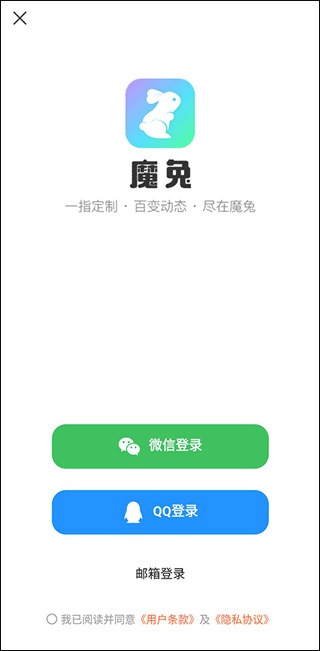 魔兔live2D手机版下载 魔兔live2D手机版下载