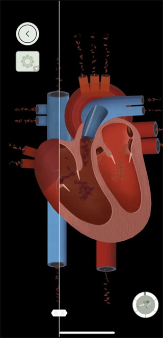 ����̽����������