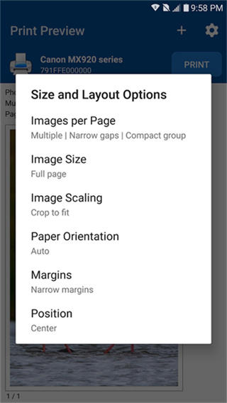 NokoPrint��Ѱ汾����v5.26.2 ��׿��