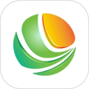 �ǻ�̩���ֻ��汾����v3.1.0 ��׿��