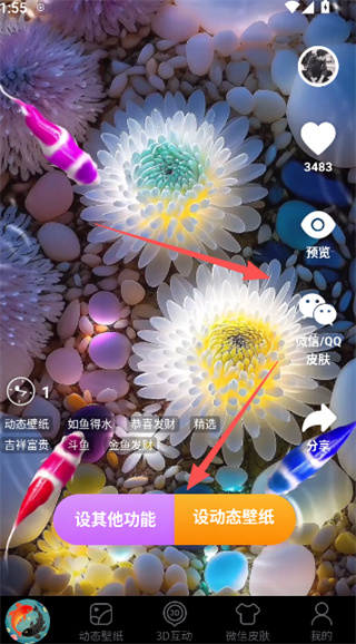 ��������ֽ��ʽ�汾����